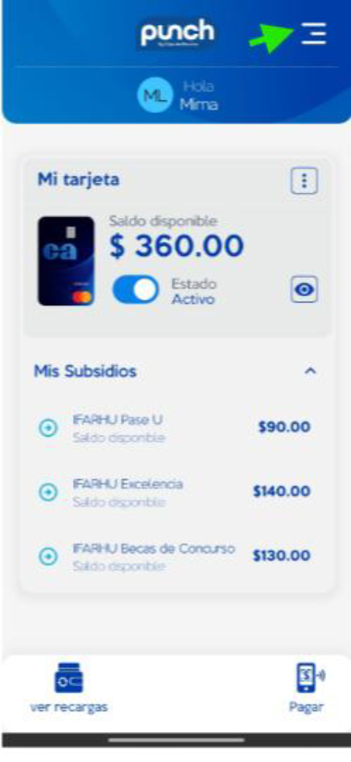 Pantalla de inicio de la aplicación Punch